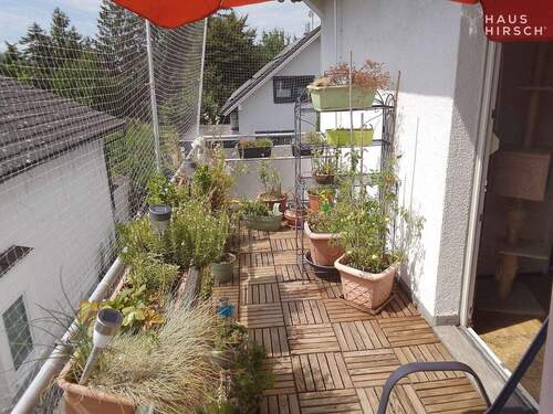 Balkon 1OG - 6 Zimmer Einfamilienhaus in Weiterstadt