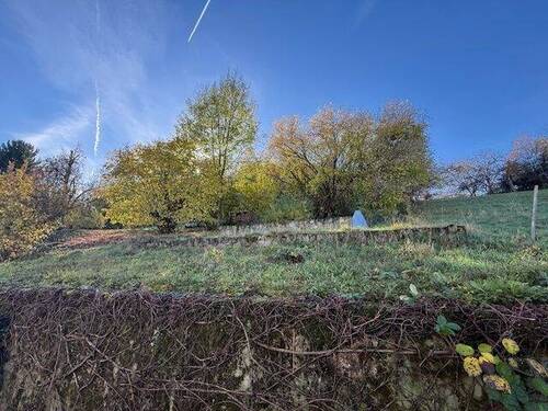 rückwärtiger Garten - 