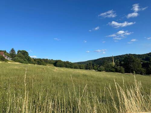 Ansicht - Grundstück zum Kaufen in Eisenach