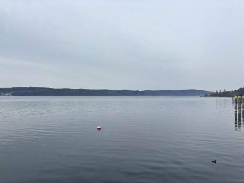 Ausblick auf den See - 