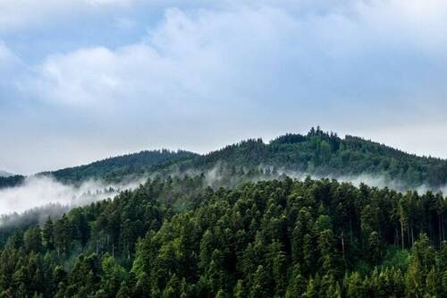 Bild 1 - Verkauf: Saniertes 3*S-Hotel (37 Zimmer) in Top-Tourismusdestination des Schwarzwaldes!