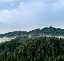 Verkauf: Saniertes 3*S-Hotel (37 Zimmer) in Top-Tourismusdestination des Schwarzwaldes! - Baiersbronn Tonbach