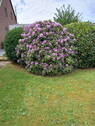 Gartenblick 2 - 