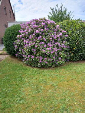 Gartenblick 2 - 