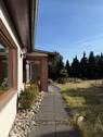 Blick in den Garten - 
