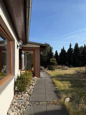 Blick in den Garten - 