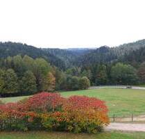 neuwertiger Komplex: Ferienwohnungen - Hotel in Niederbayern zu verkaufen - Vilshofen an der Donau Alling