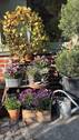 Landliebe - 