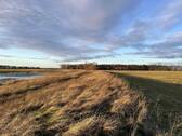 im Sommer - 