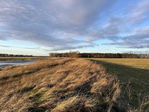 im Sommer - 