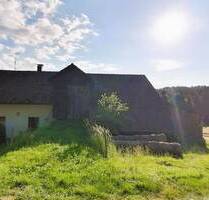 Idylle pur! Bauernhaus sucht Handwerker! - Hohenau Weidhütte