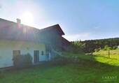 IMG 20250620 183113 - 5 Zimmer Bauernhaus, Landhaus in Hohenau