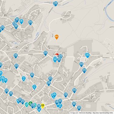 Geolyzer Kartenausschnitt - Grundstück in Solingen
