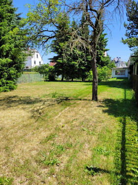 Bild11 - 