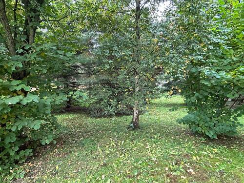 Garten - 