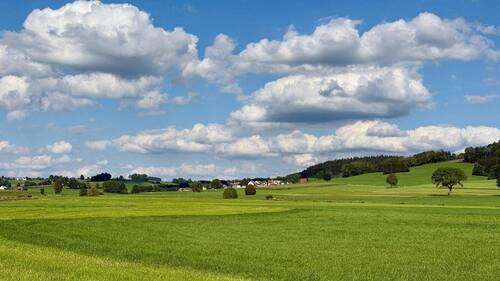 Bild 2 - Grundstück zum Kaufen in Bad Wurzach