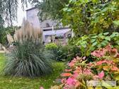 Gartenimpressionen - 