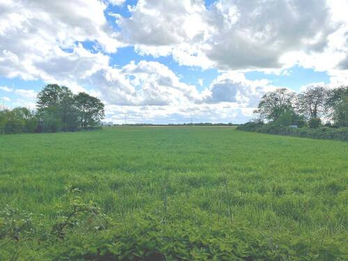 Unverbauter Ausblick in die Natur - 