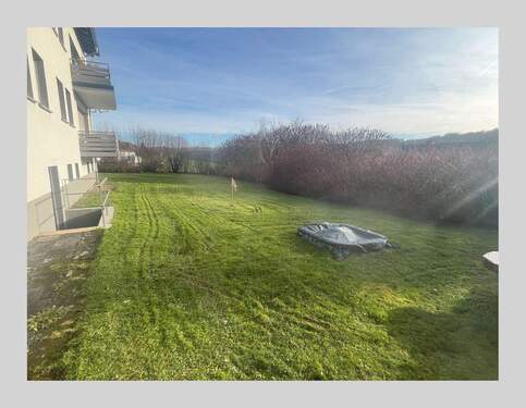 Gemeinschaftsgarten - 