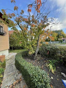 Wege im Garten - Einfamilienhaus mit 91,00 m² in Berlin Tempelhof-Schöneberg zum Kaufen