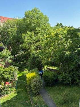 Blick in den Garten - 