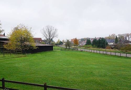 Blick über die Wiesen in Richtung Dorf - 