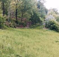 Grundstück mit Baugenehmigung für EFH in Tharandt