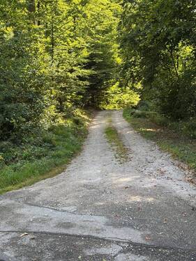 Zugang zum Eichwald - 
