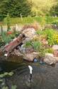 Teich - 