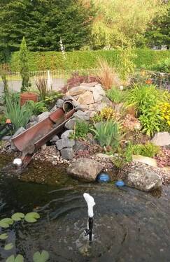 Teich - 