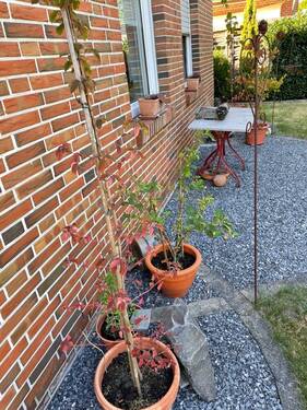Ansicht Giebel vorne - 