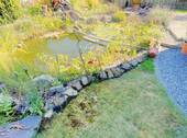 Teich - 