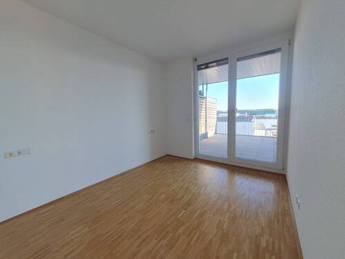 IMG-20251113-WA0026.jpg - 