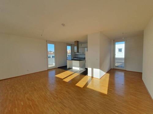 IMG-20251113-WA0028.jpg - 