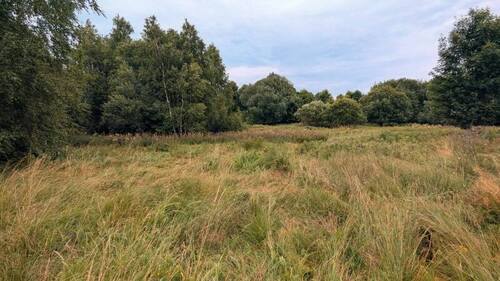 Ansicht Grundstück - Grundstück zum Kaufen in Bahratal