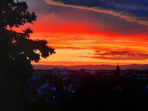 SONNENUNTERGANG - 