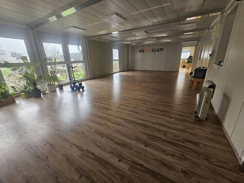 Bild 11 - 