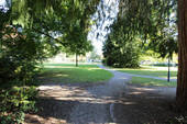 Bild19 - 