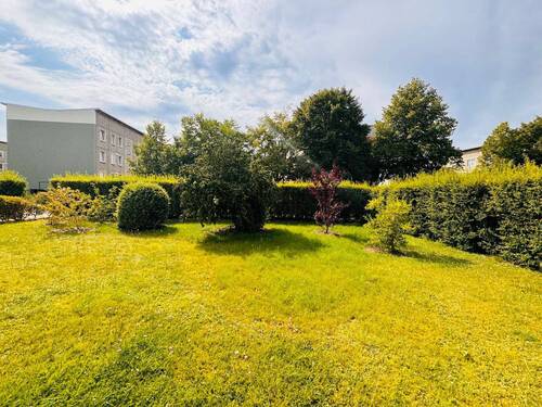 Vor dem Haus - 