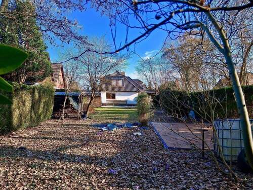 der Frühling kommt - 