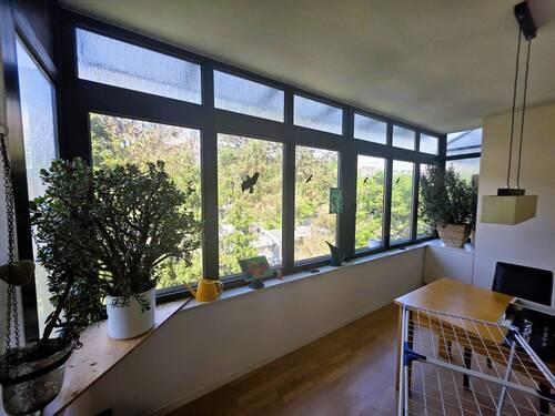 20250506_140345.jpg - 