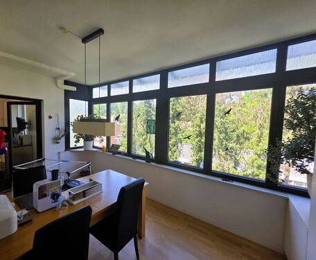 20250506_140334.jpg - 