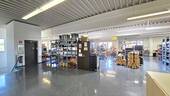 Bild 3 - Halle in Lottstetten zum Kaufen
