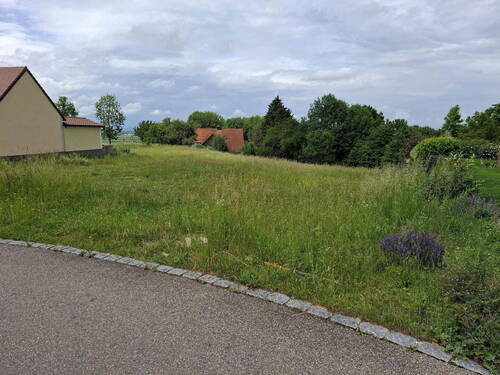 Bild 2 - Grundstück zum Kaufen in Berg im Gau