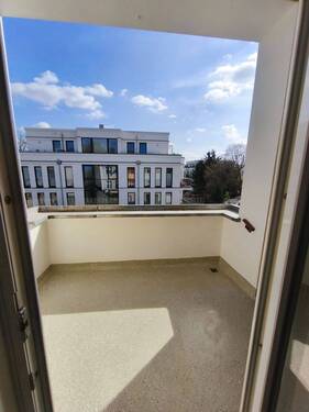 IMG_20260424_161829.jpg - 