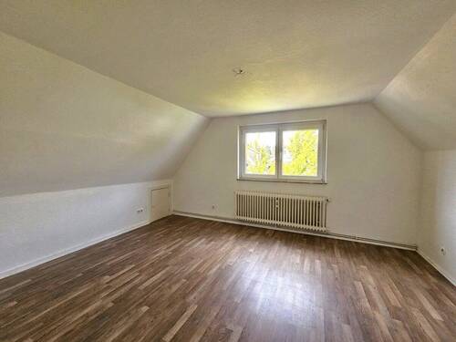 Zimmer DG - 