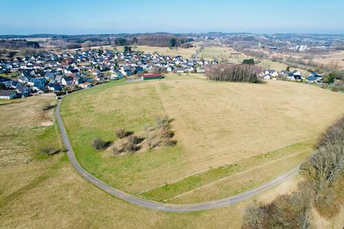 dji_fly_20250327_101144_998_1743067106778_photo.jp - 