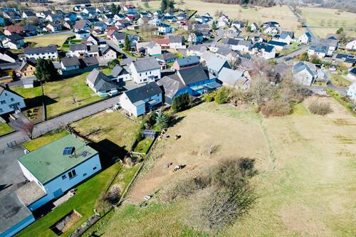 dji_fly_20250327_101224_999_1743067104694_photo.jp - 