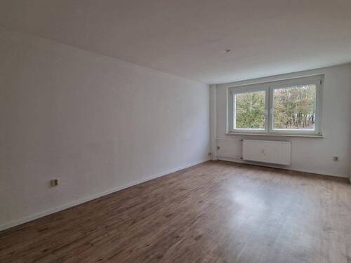 Wohnzimmer - 4 Zimmer Etagenwohnung zur Miete in Wurzbach