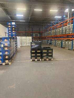 Lagerhalle mit Hochregallager - Halle in Schkeuditz zur Miete